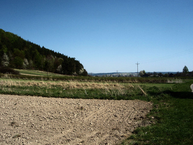 P4260012