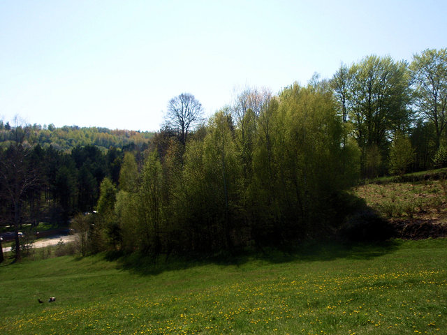 P4260015