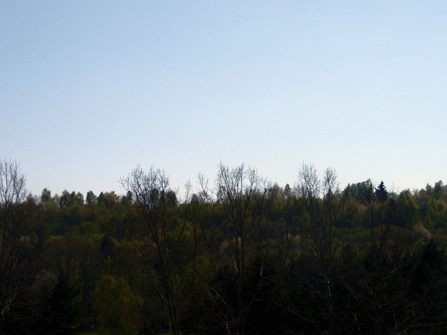 P4260018