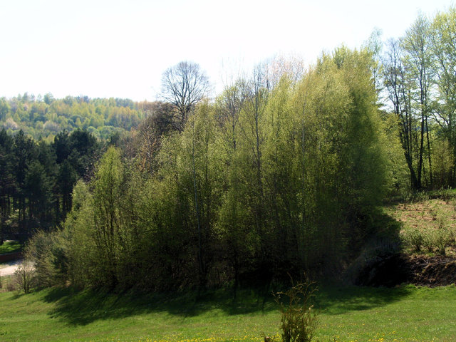 P4260020