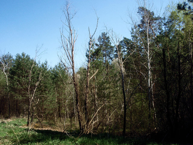 P4260025