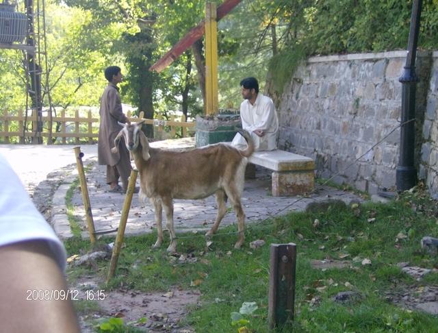 Okolice Murree