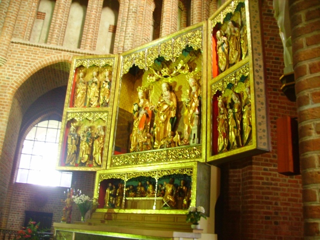 Imgp0481