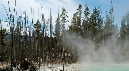 Drzewa nie lubia bulgotow – Montana, Stany Zjednoczone Ameryki