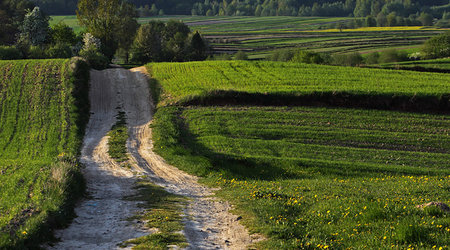 Świętokrzyśkie – Nieskurzów Nowy, Polska