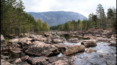 Norwegia