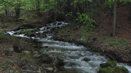 W drodze na "Chleb" – Terchová, Słowacja