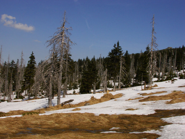 Karkonoski Park Narodowy