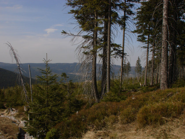 Karkonoski Park Narodowy