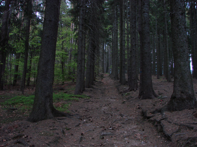 Karkonoski Park Narodowy
