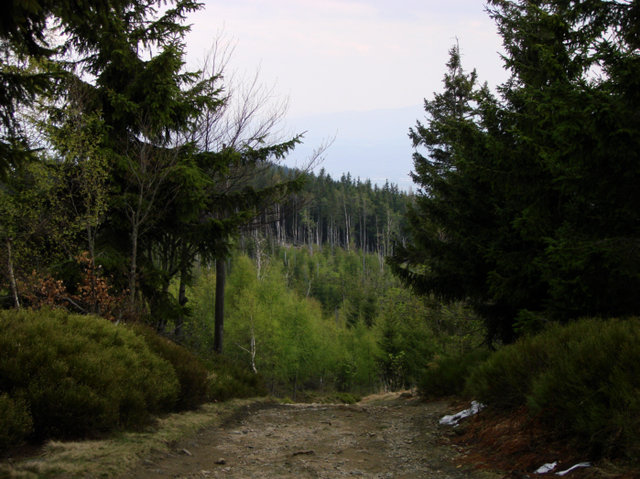 Karkonoski Park Narodowy