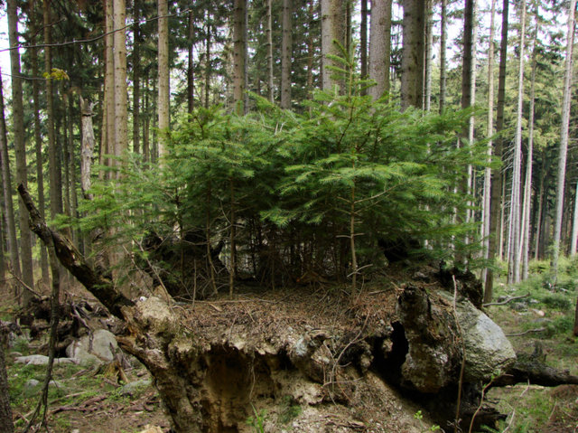 Karkonoski Park Narodowy