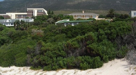 Kolonia Pingwinów na Boulders Beach – Cape Town, Republika Południowej Afryki