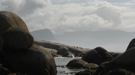 Kolonia Pingwinów na Boulders Beach – Cape Town, Republika Południowej Afryki