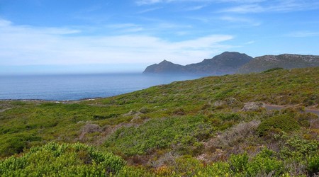Cape Point, nie mylić z Przylądkiem Dobrej Nadziei – Cape Town, Republika Południowej Afryki
