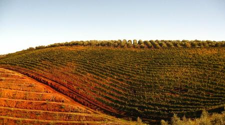 Tokara – Stellenbosch, Republika Południowej Afryki