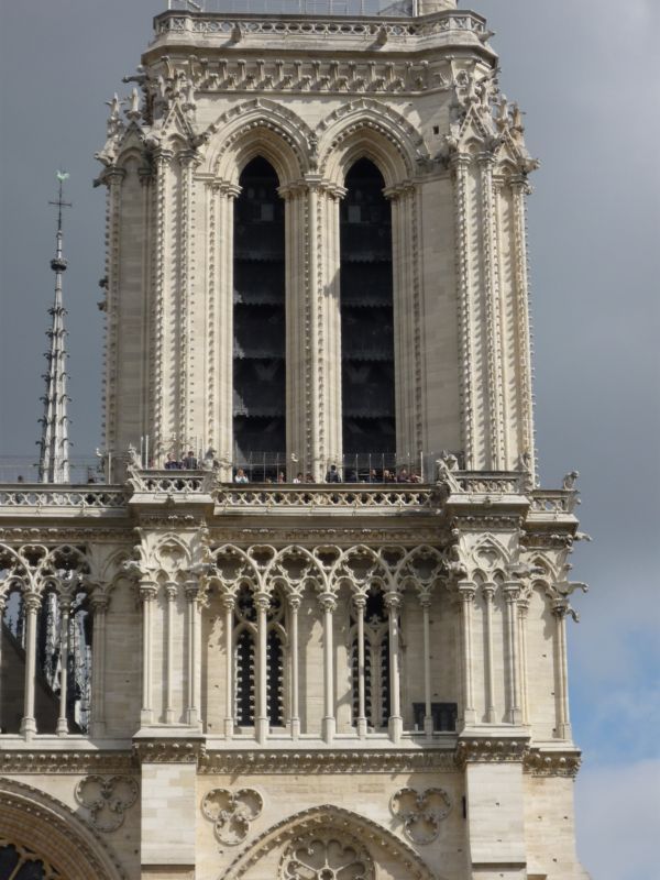 Katedra Notre Dame
