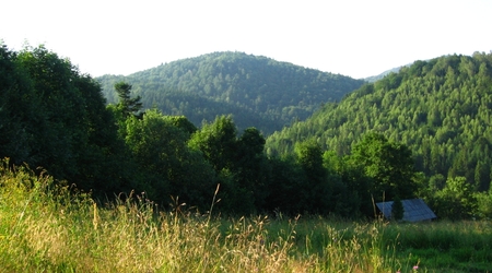 Cisna – Polska