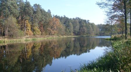 Staw śródlesny na tzw Młynkach – Bełżec, Polska