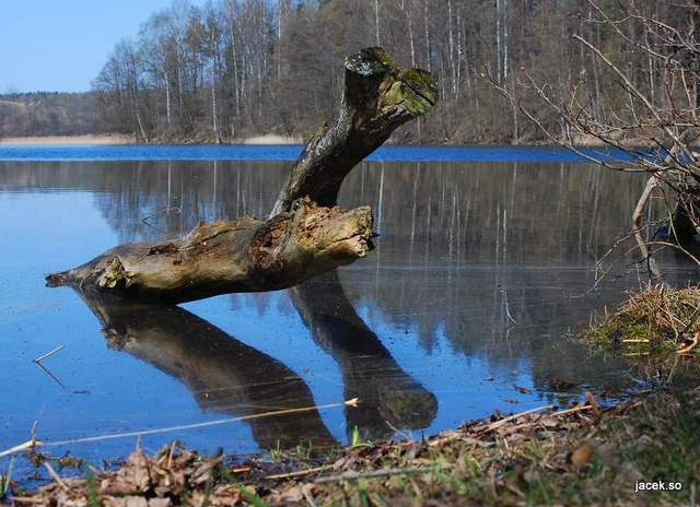 67847 - Hańcza jezioro