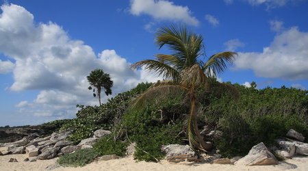 plaża w Playa del Carmen – Puerto Morelos, Meksyk