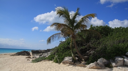 plaża w Playa del Carmen – Puerto Morelos, Meksyk