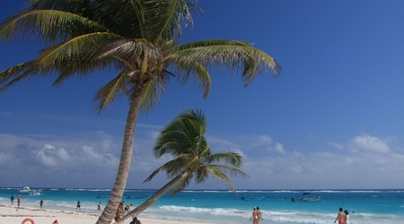 w cieniu palmy, plaża w Tulum – Puerto Morelos, Meksyk