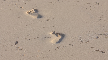 ktoś tędy szedł / plaża w Puerto Morelos – Meksyk