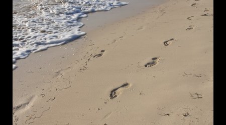 Yeti ? – Puerto Morelos, Meksyk