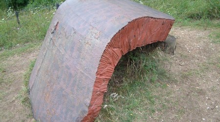 Skorupa wiezyczki – Bakałarzewo, Polska