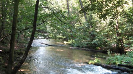 Rezerwat Szumy nad Tanwią – Susiec, Polska