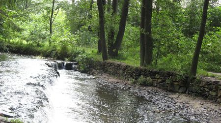 Rezerwat Szumy nad Tanwią – Susiec, Polska