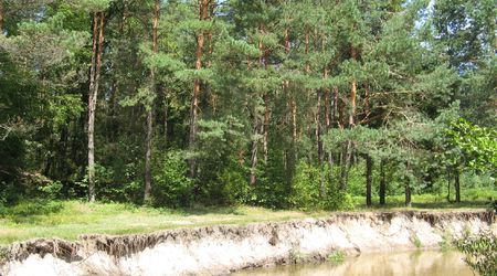 Tanew – Susiec, Polska