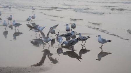 social life – Ustka, Polska