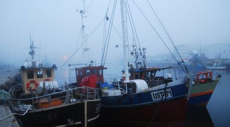 kutry – Ustka, Polska