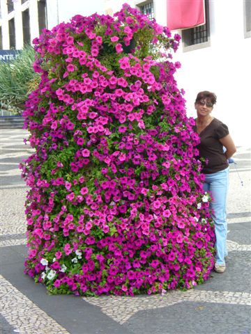 Madeira