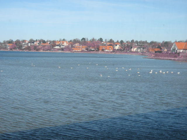 Kopenhaga