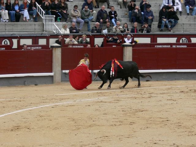 Corrida