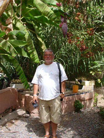 w_ogrodach_mauzoleum_saadytow._za_mna_kwiat_bananowca