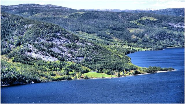 Dalen samotnia