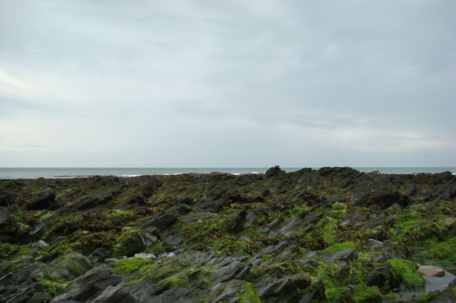 Dsc06975