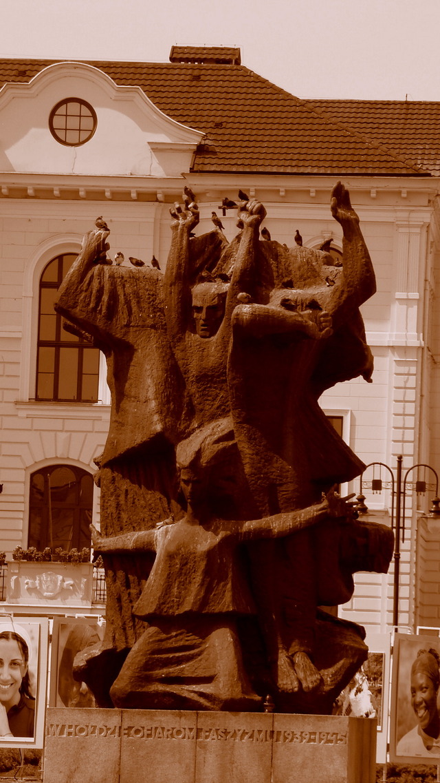 Dsc03156