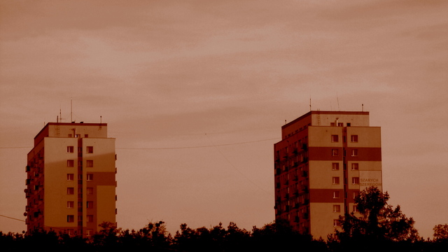 Dsc03089