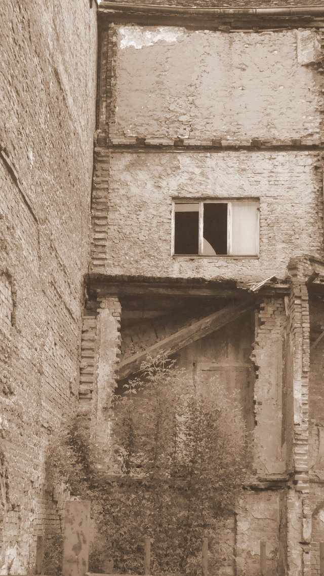 Dsc02319