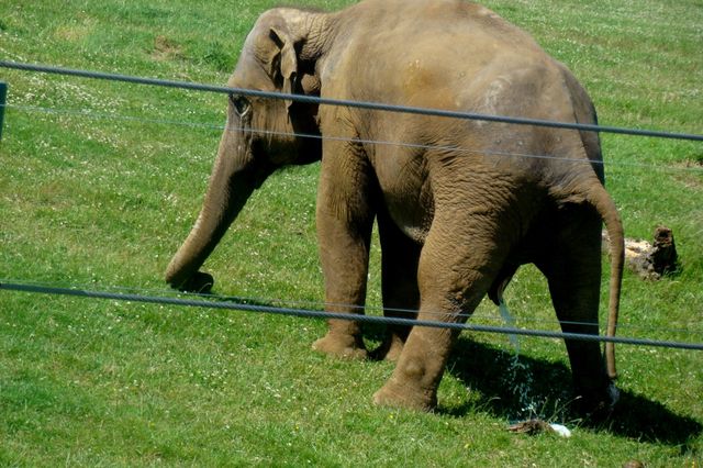 Safari park
