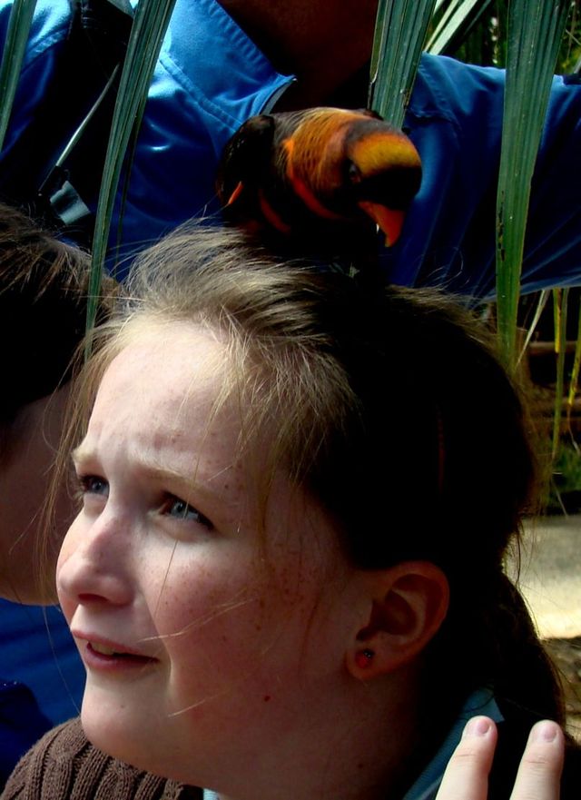 Safari park