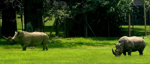 Safari park