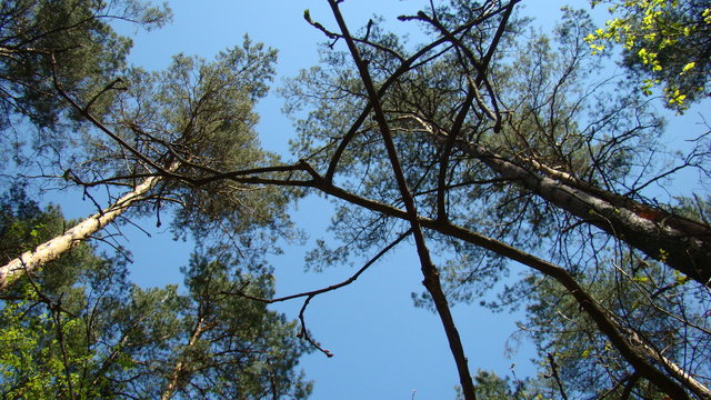 Dsc02153