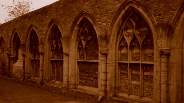 Dsc08425