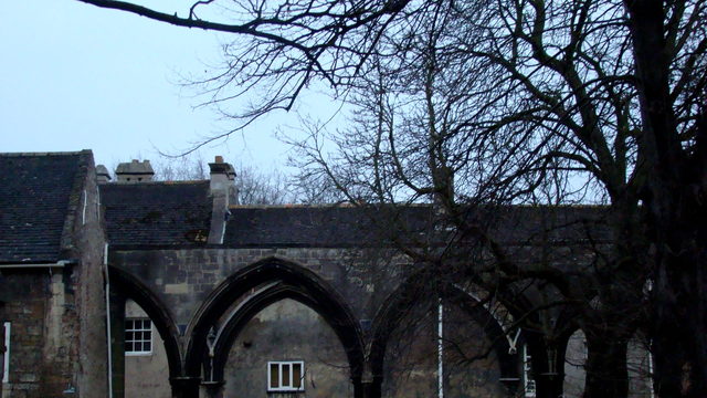 Dsc08414